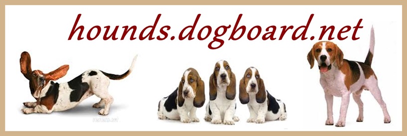 hounds.dogboard.net
